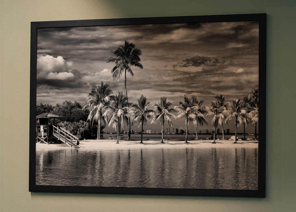 Vild strand med utsikt över Miami