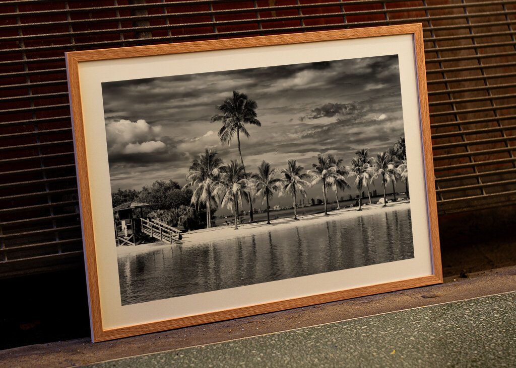 Vild strand med utsikt över Miami