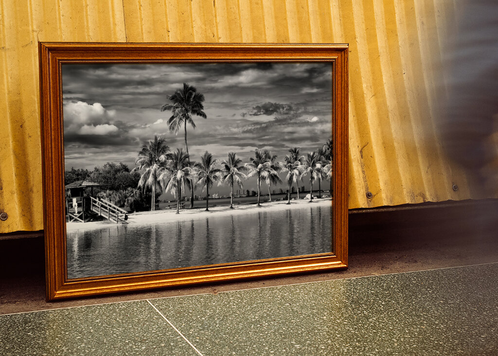 Vild strand med utsikt över Miami