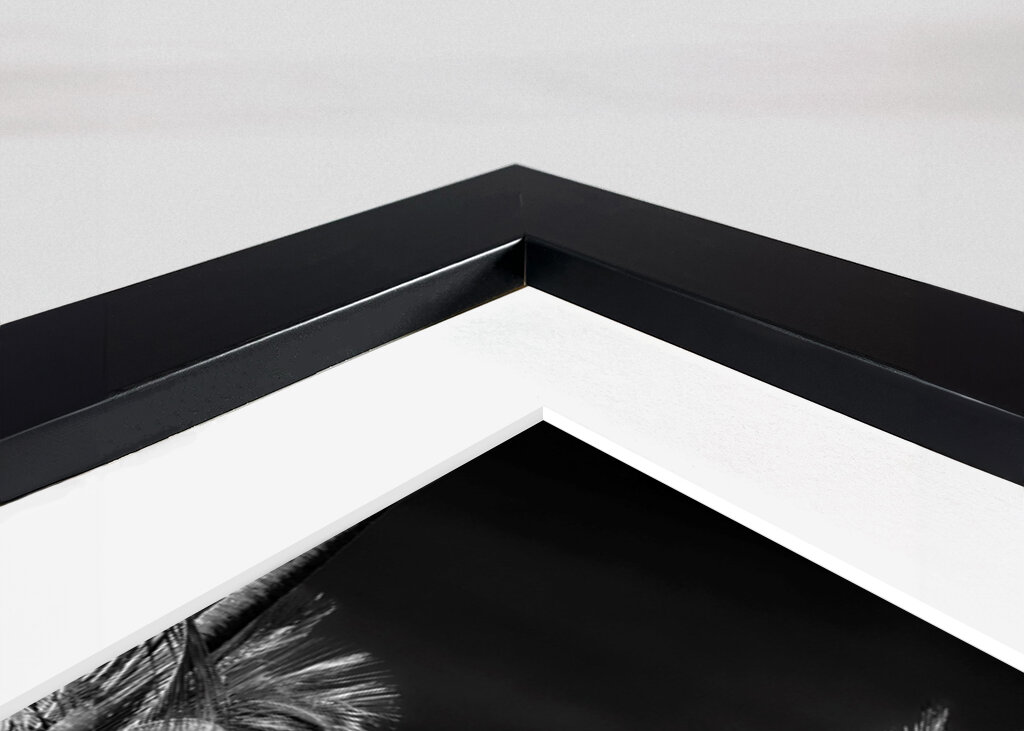 Miami : entre dos palmeras