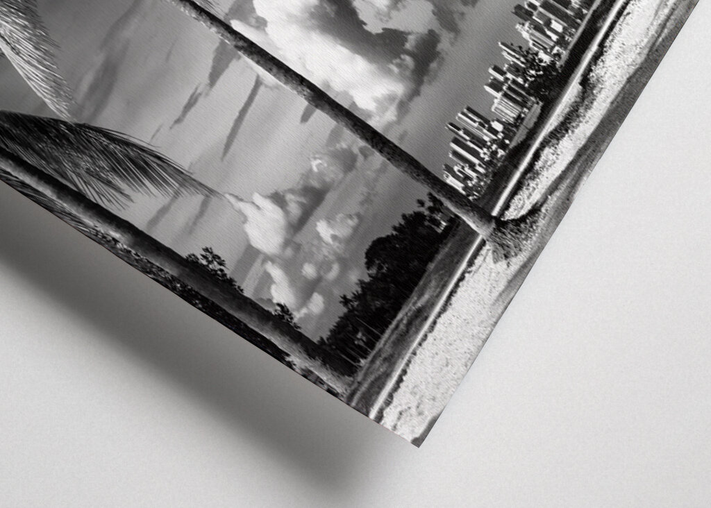 Miami : entre dos palmeras