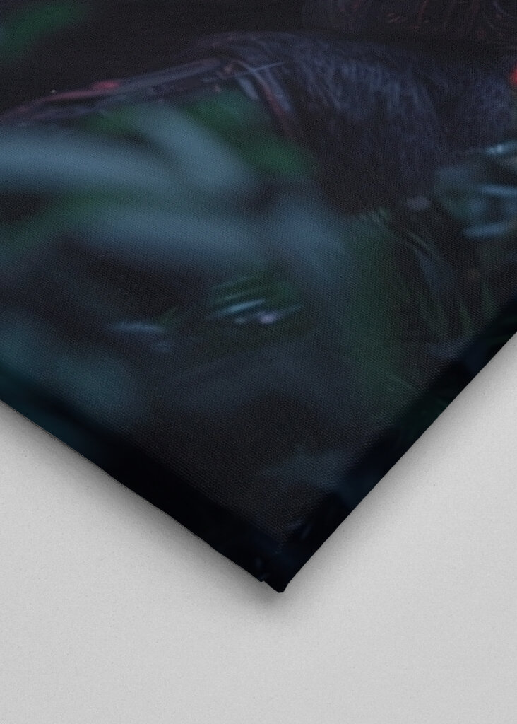 Kybergorilla viidakossa