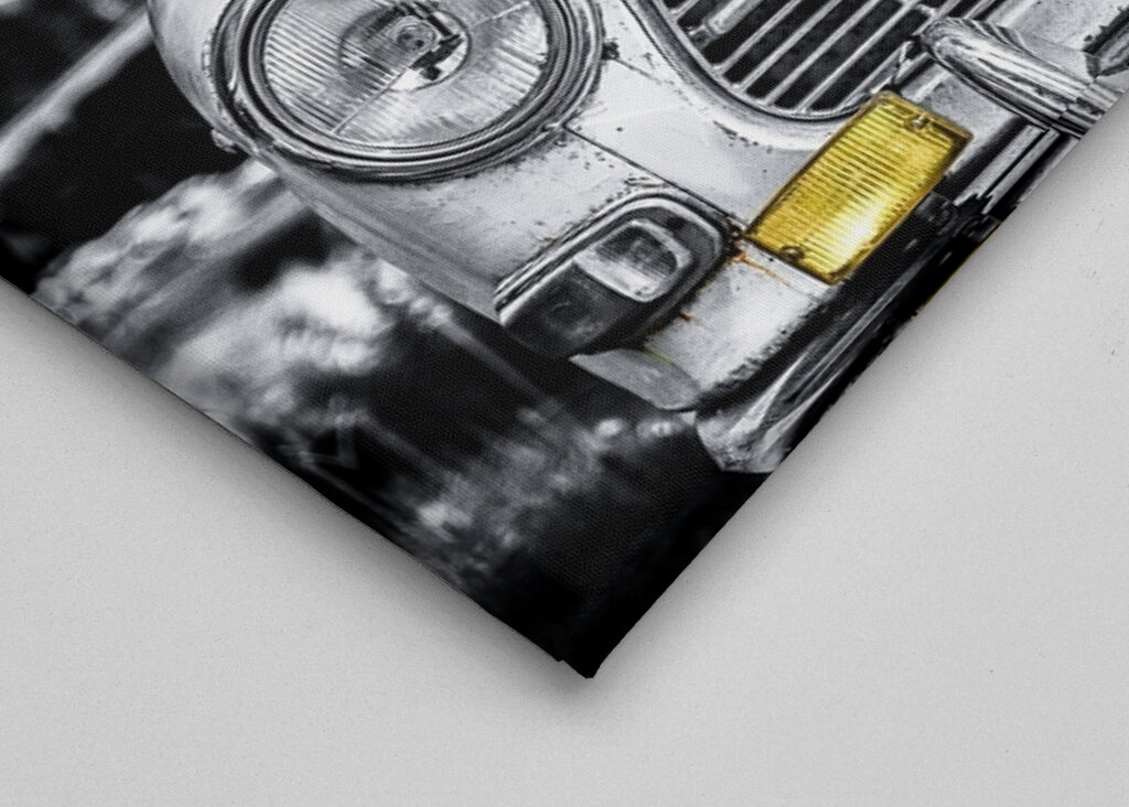 Vše, co potřebujete, je láska