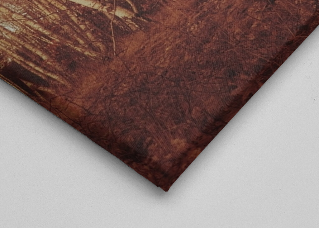 birch trees sepia calm mood