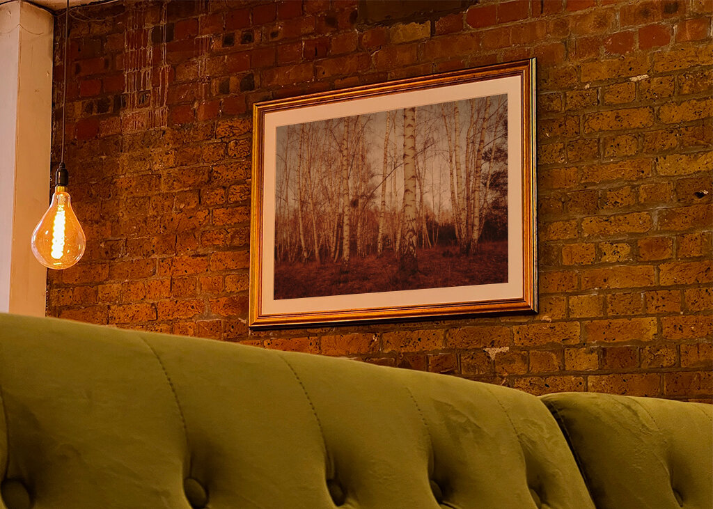 birch trees sepia calm mood