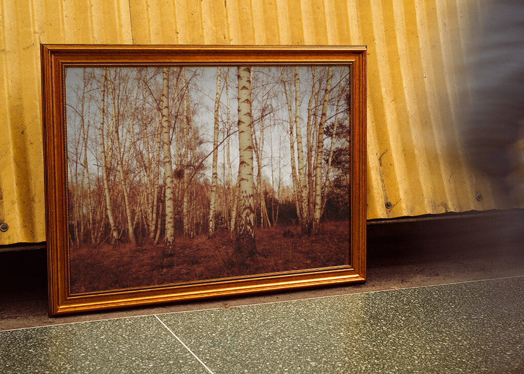 birch trees sepia calm mood