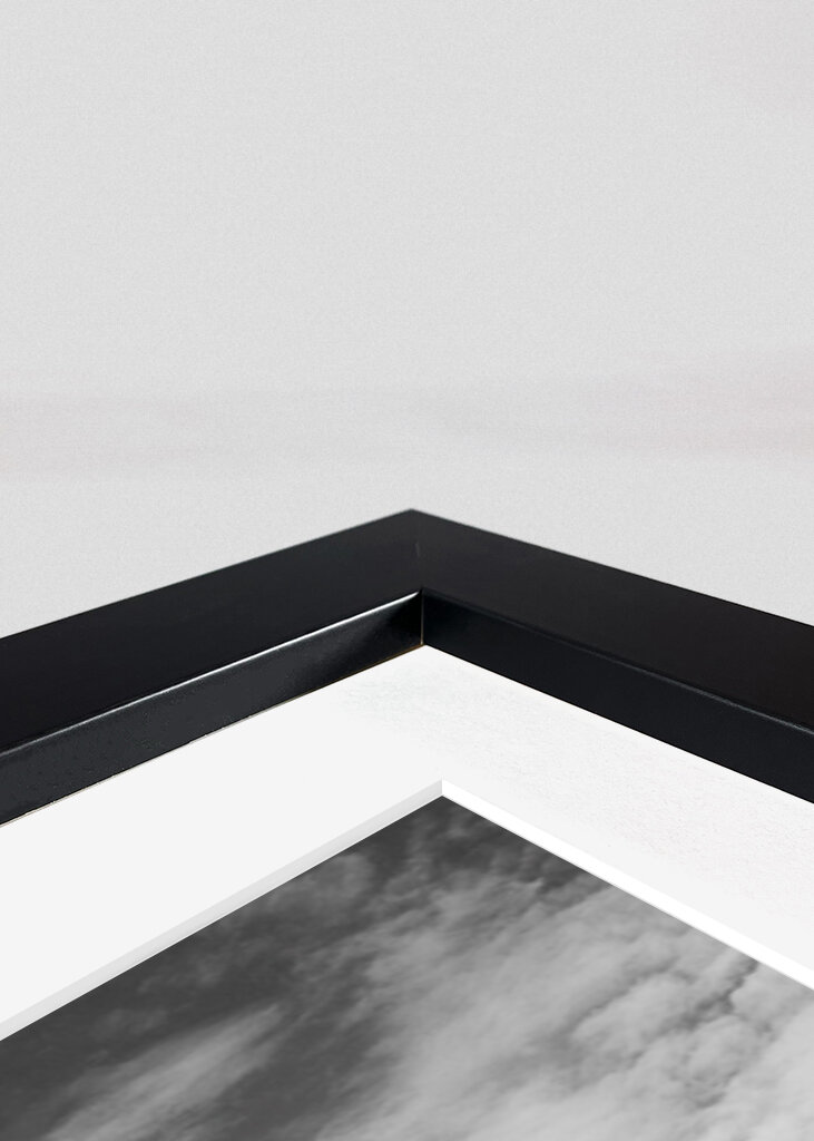 Der tote Baum am Kreidefelsen 