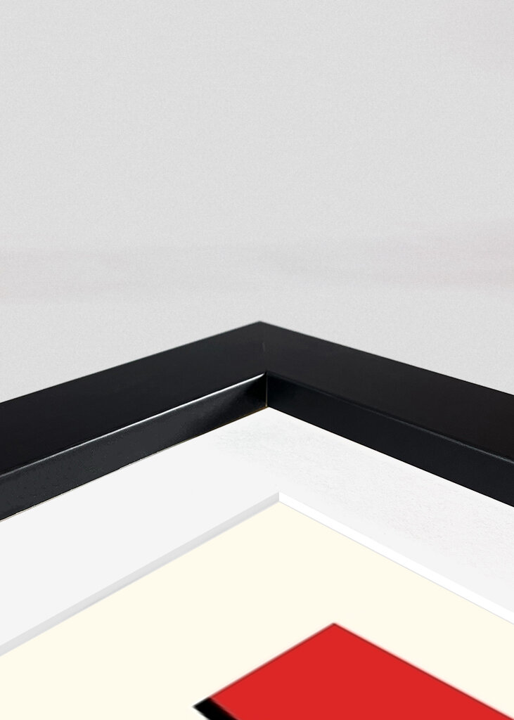 My work blends Bauhaus princip