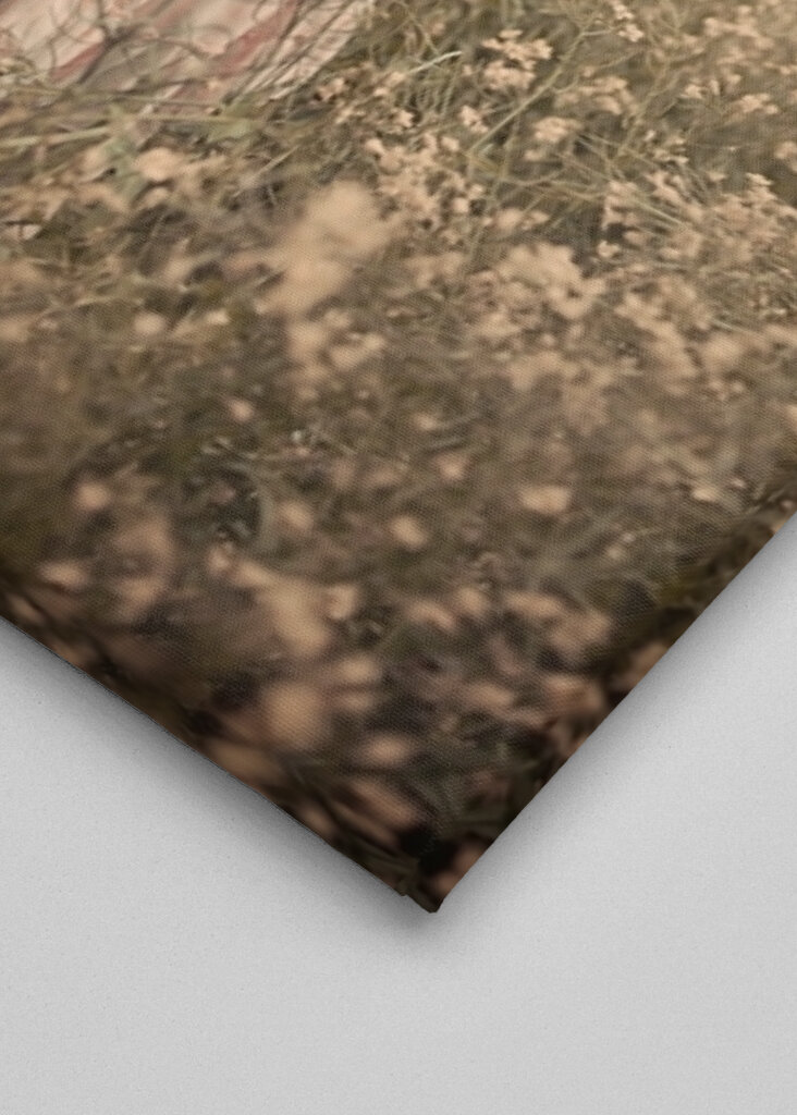 Woman in Pastel field 