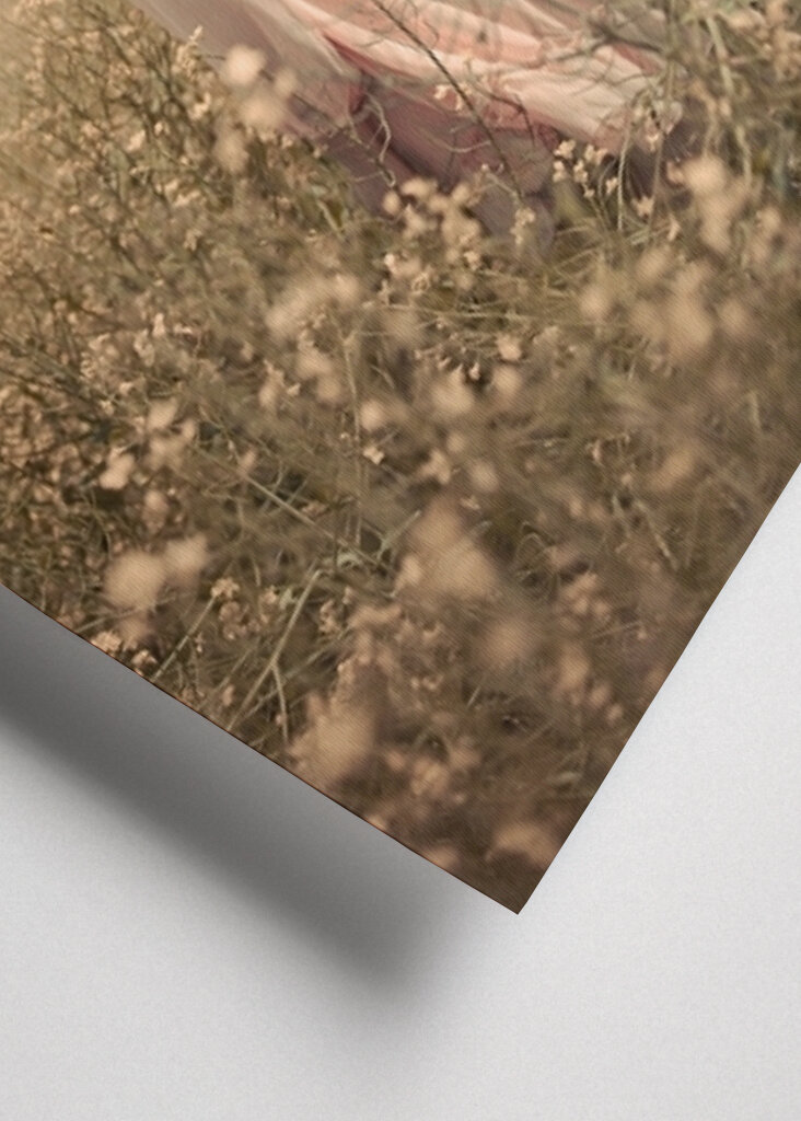 Woman in Pastel field 