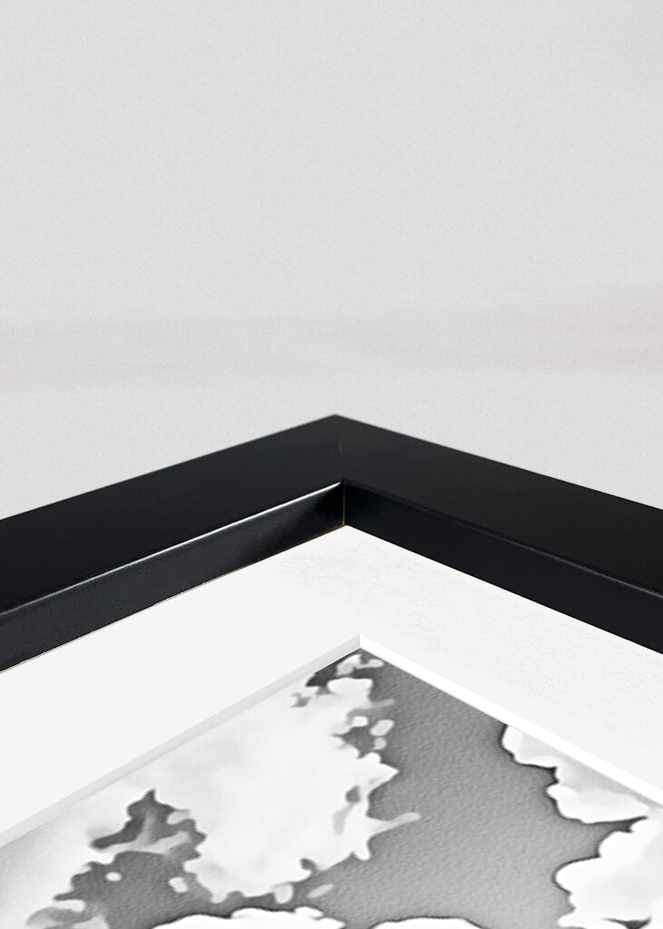 Loro en la rama de un árbol