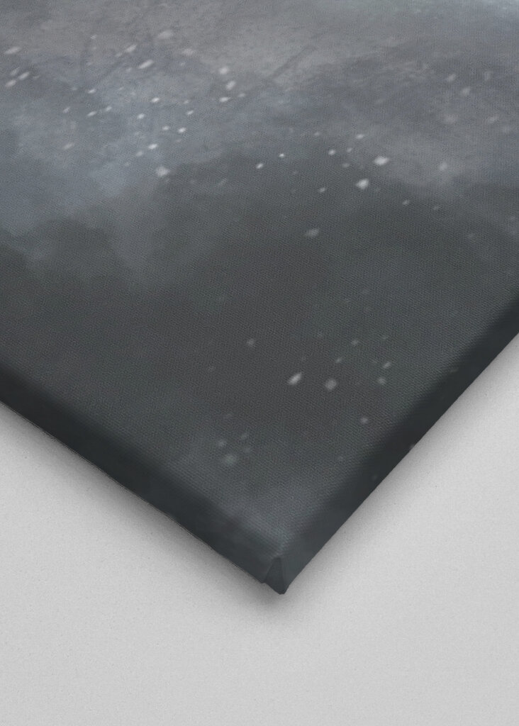 Dark Side of the Moon