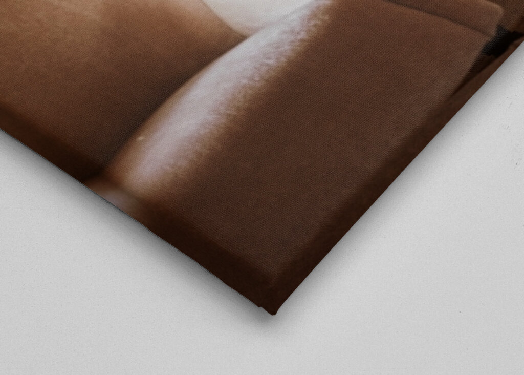 Woman in lingerie in bed