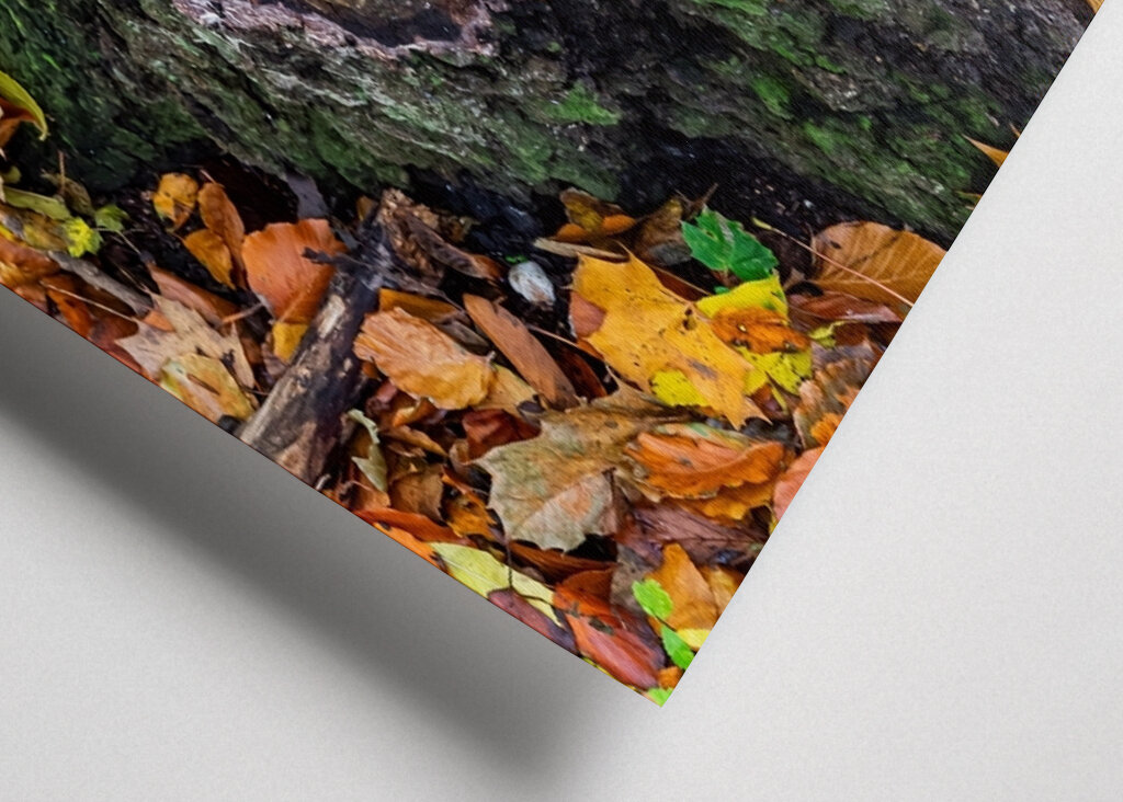 Őszi szonáta újrahasznosítás