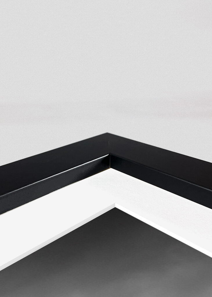 Scala a pioli invernale