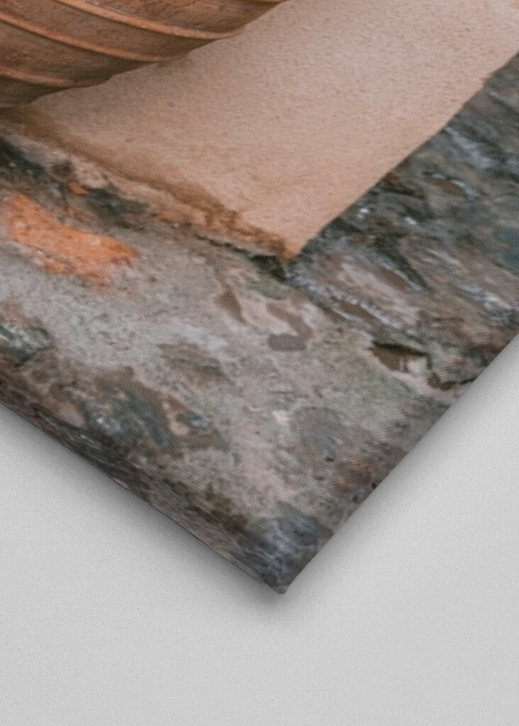 Oliventræ Grækenland