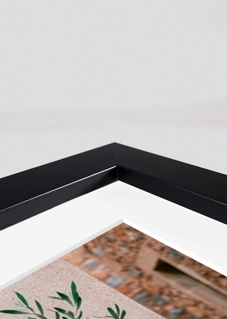 Oliventræ Grækenland