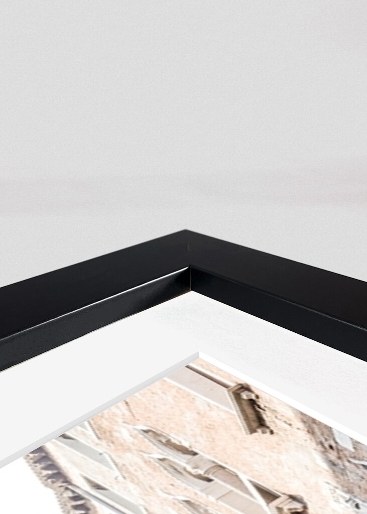 2833646 Venediggondol ii