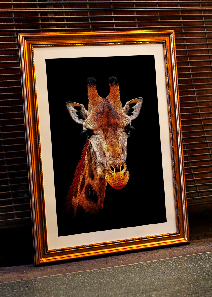 Kop van een giraffe