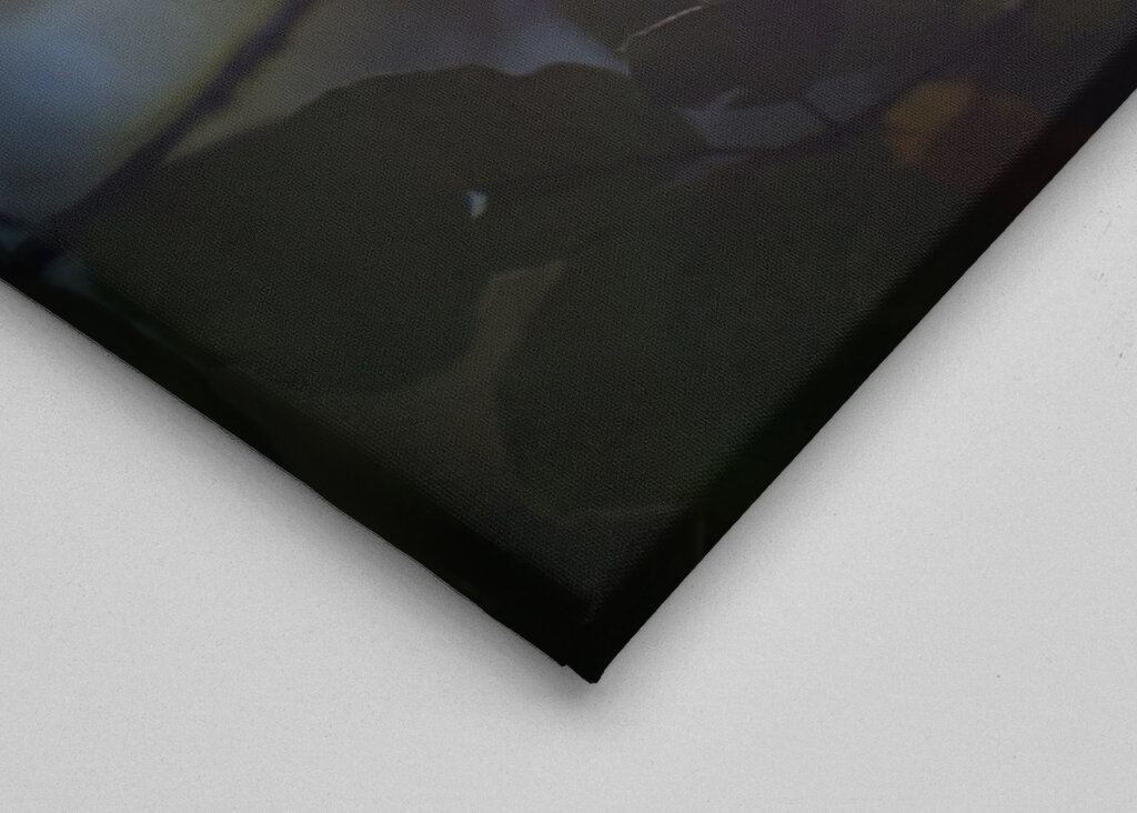 Sunny Autumn day in the forest