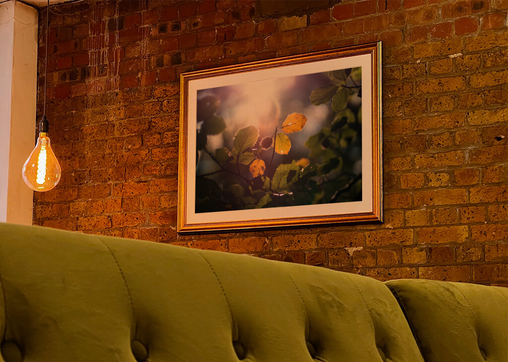 Sunny Autumn day in the forest