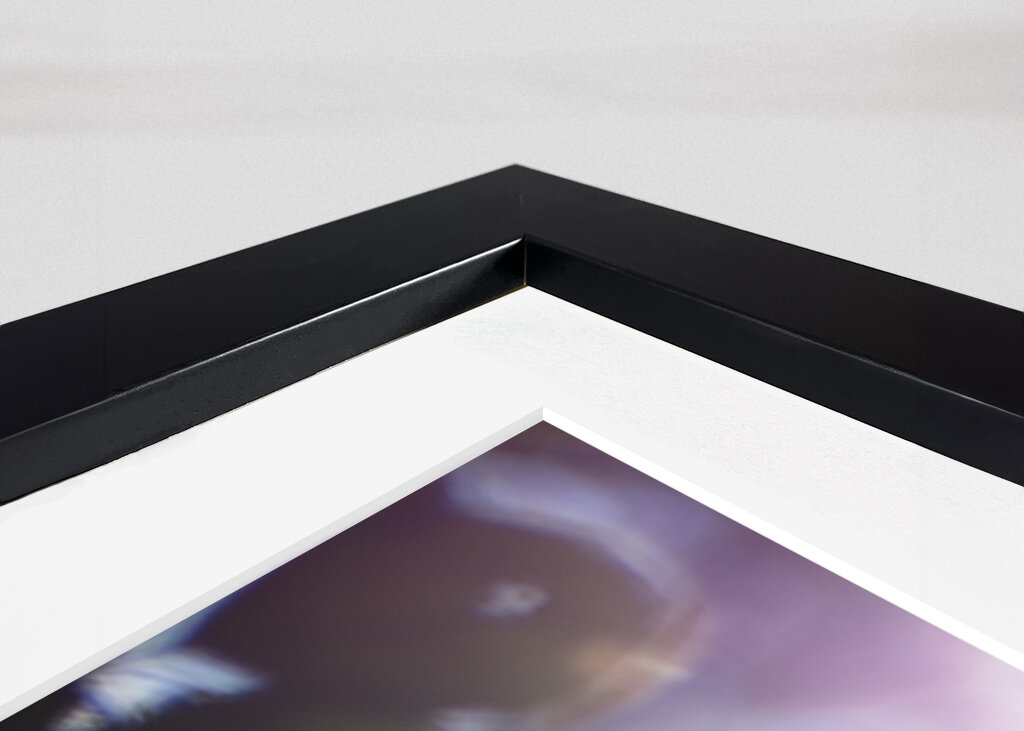 Sunny Autumn day in the forest