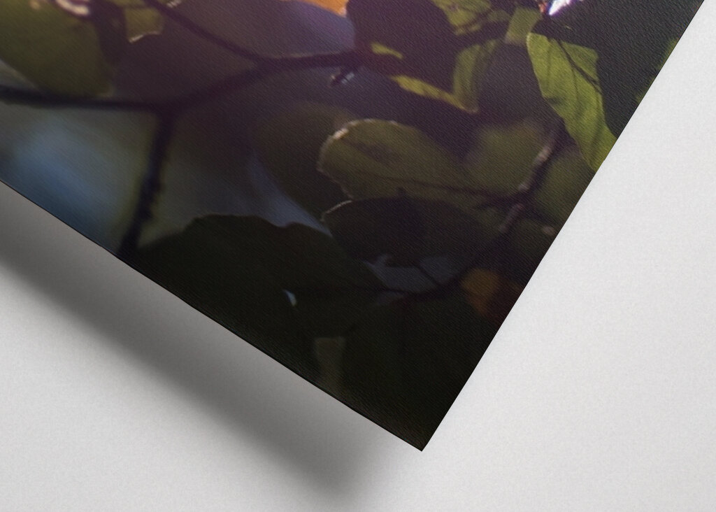 Sunny Autumn day in the forest