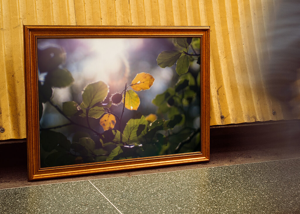 Sunny Autumn day in the forest