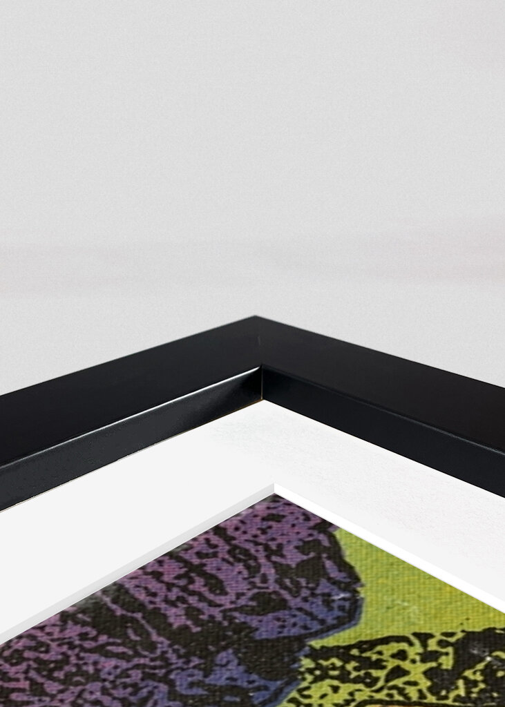 Escursionista spaziale #2883411