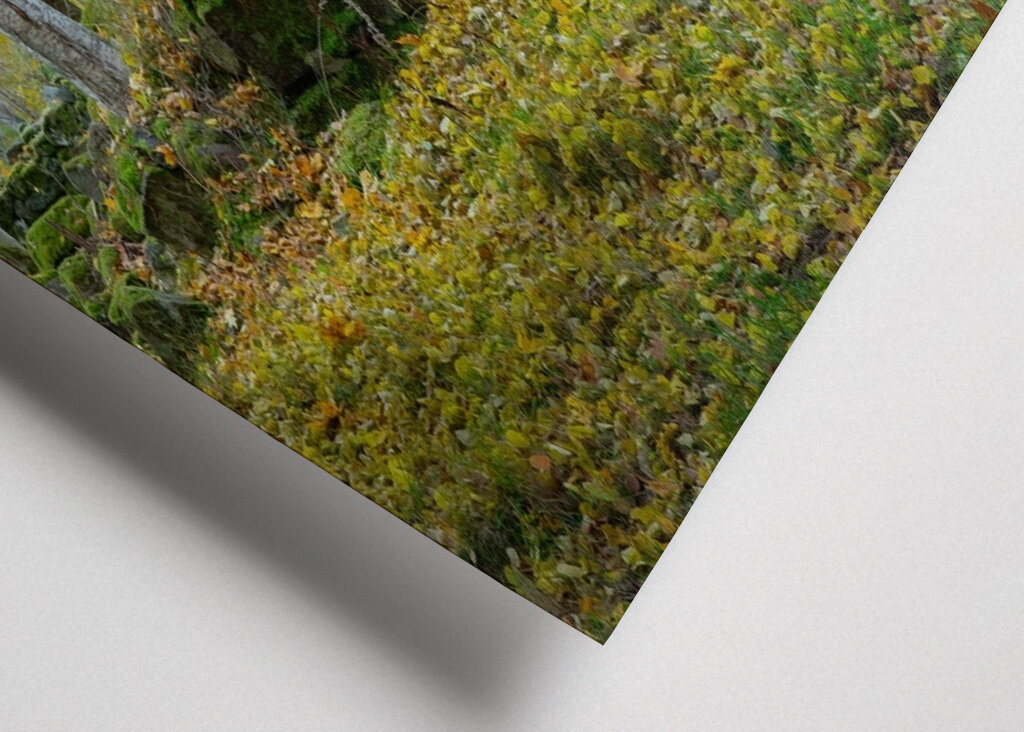 Earthen cellar in autumn