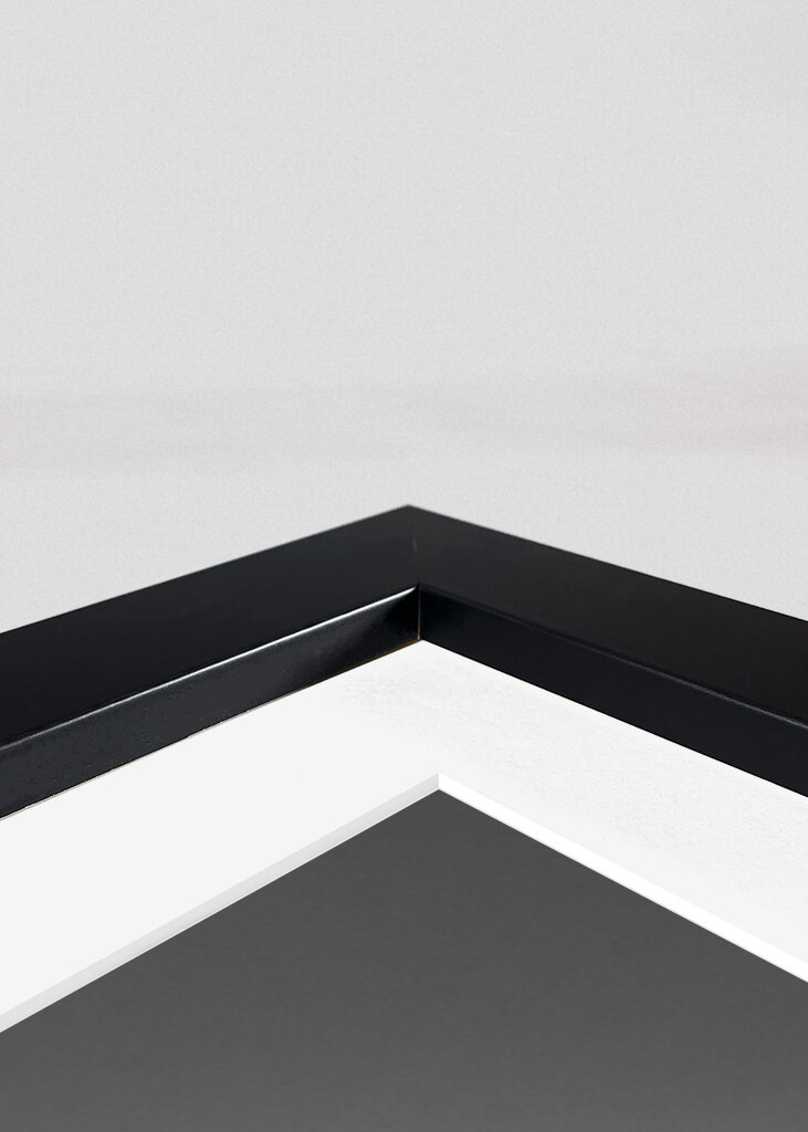 Vintage Rolleicord Zimmer