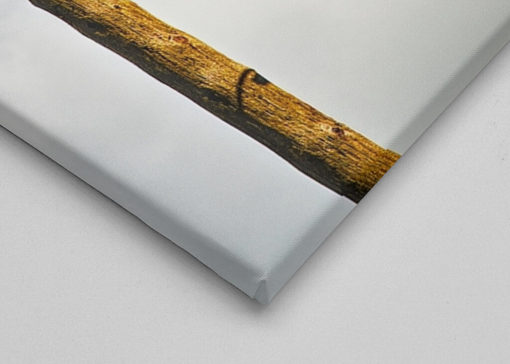 isolated electricity pole 