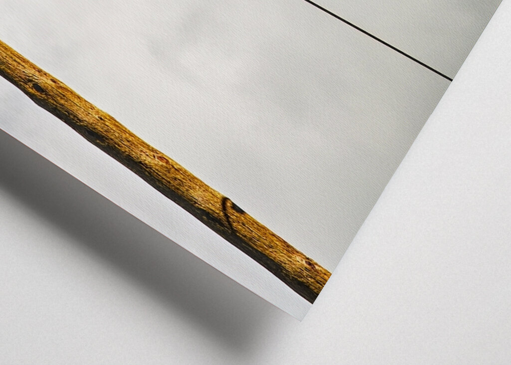 isolated electricity pole 