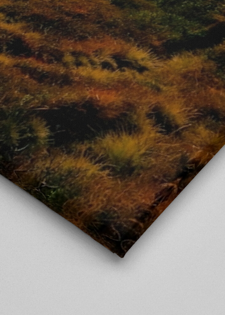 Když se přivalí mlha 