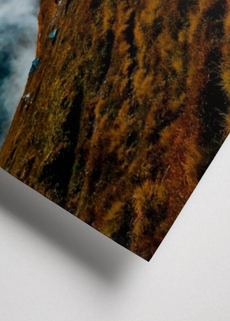 Když se přivalí mlha 