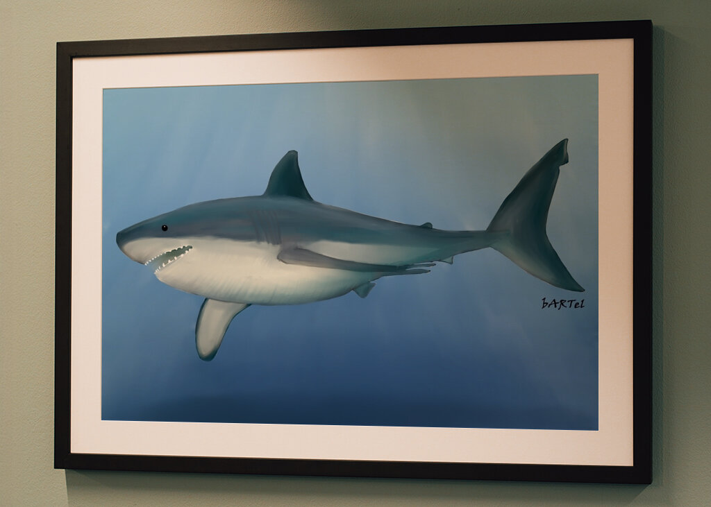 Gran tiburón blanco