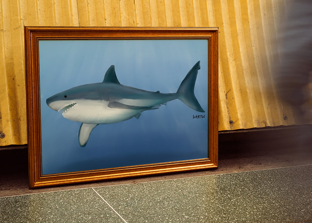 Gran tiburón blanco