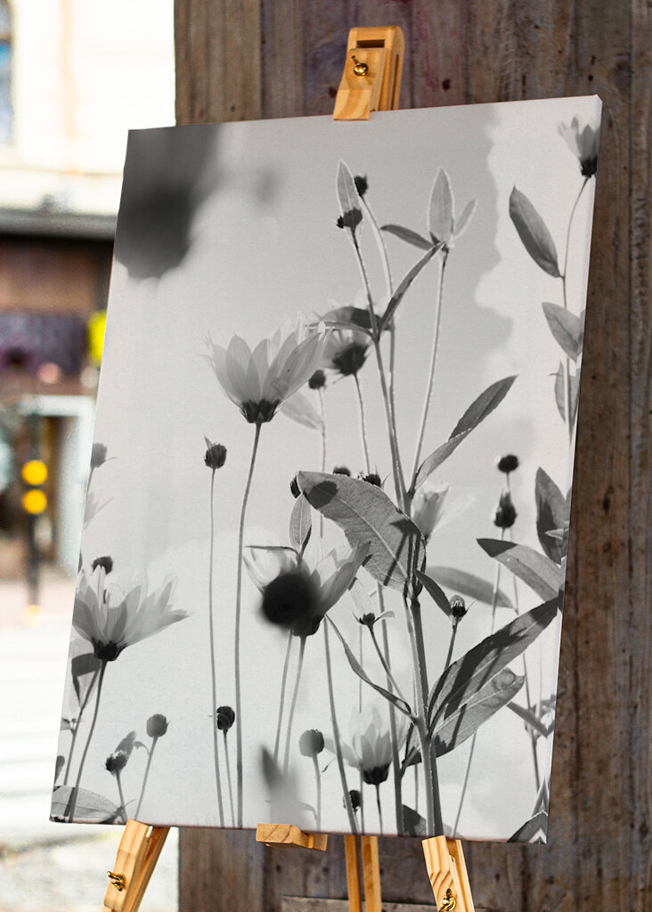 Nel mio piccolo mondo di fiori