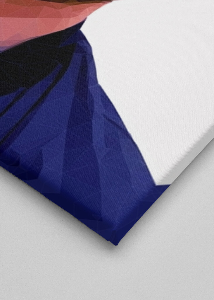 Chris Evans polygonale Kunst