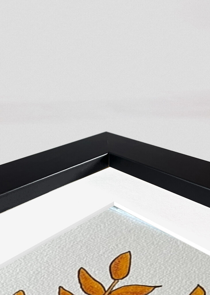 Zamiakalla in orange