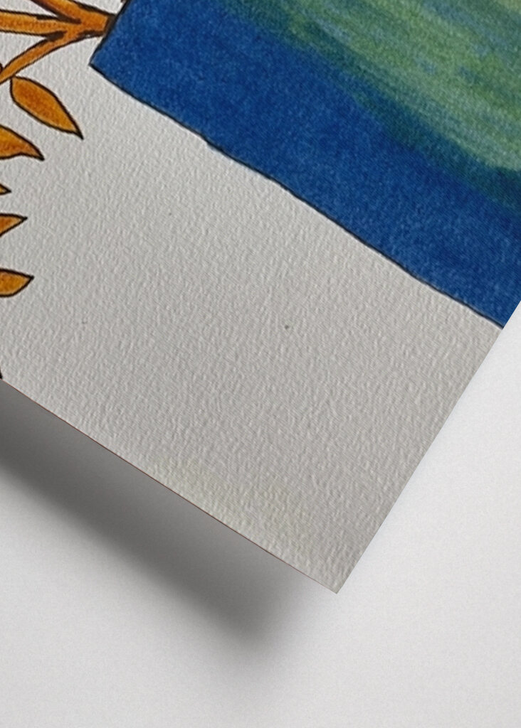 Zamiakalla in orange