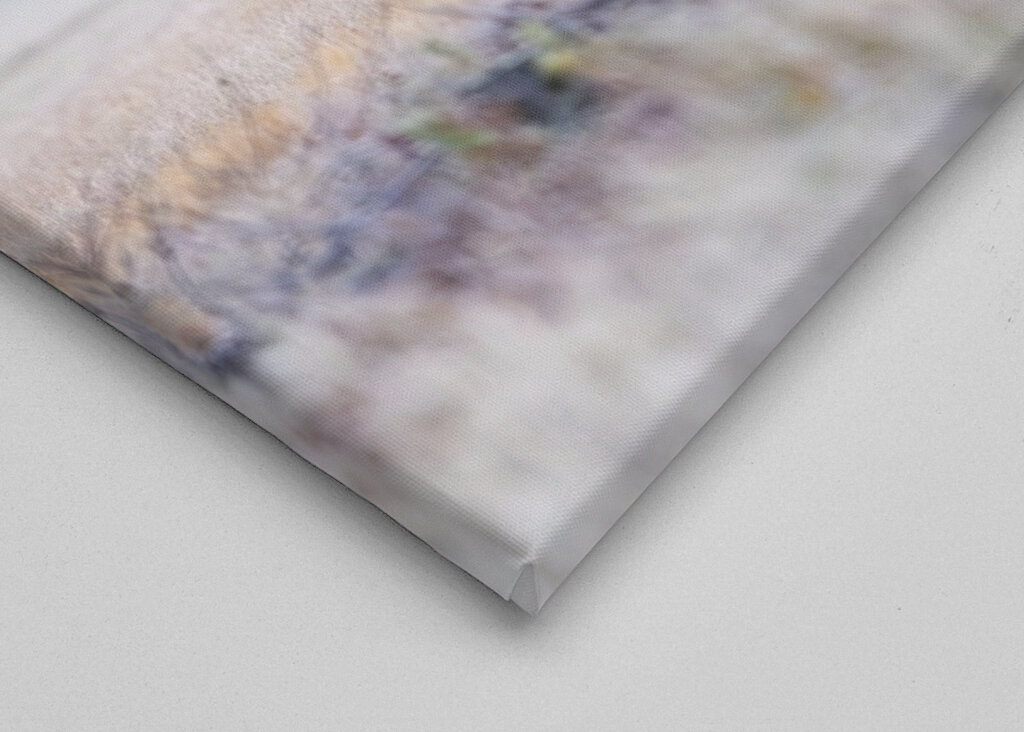 Medvěd před zimním odpočinkem