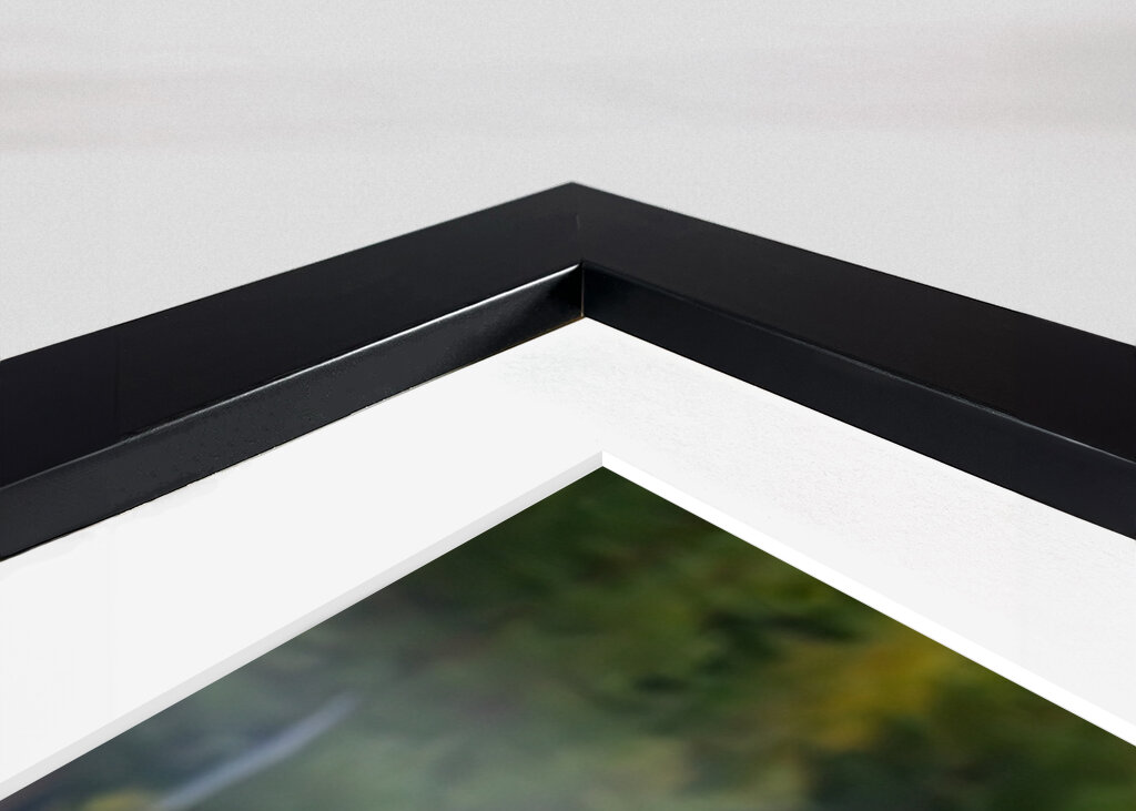 Medvěd před zimním odpočinkem