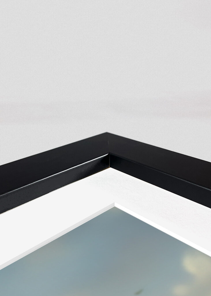 Sunflower Deer Lyže