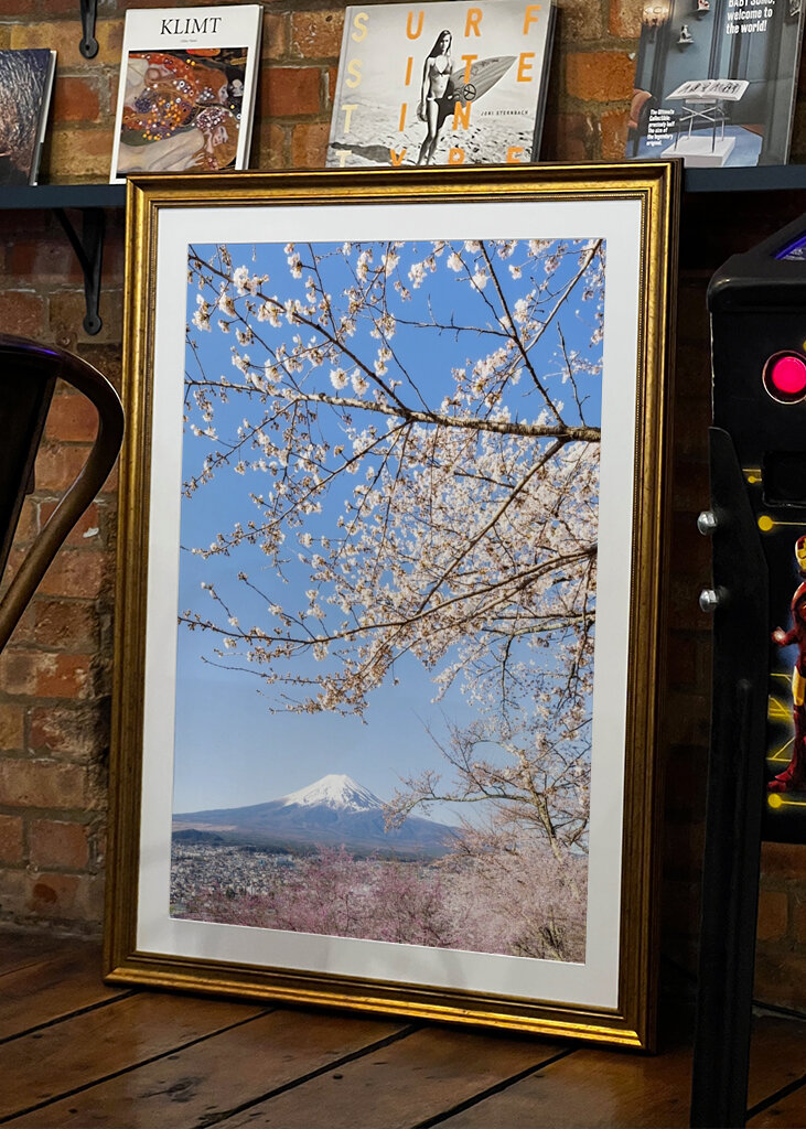Fiori di ciliegio sul Monte Fuji