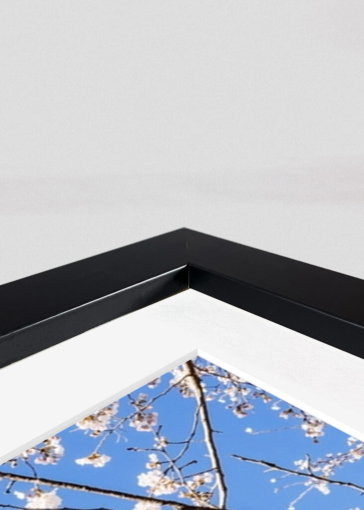 Fiori di ciliegio sul Monte Fuji