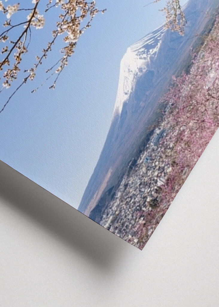 Fiori di ciliegio sul Monte Fuji