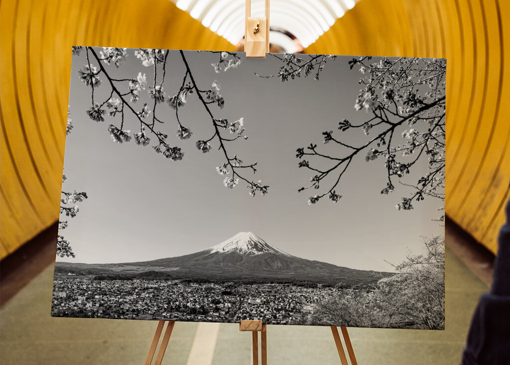 Le mont Fuji au printemps