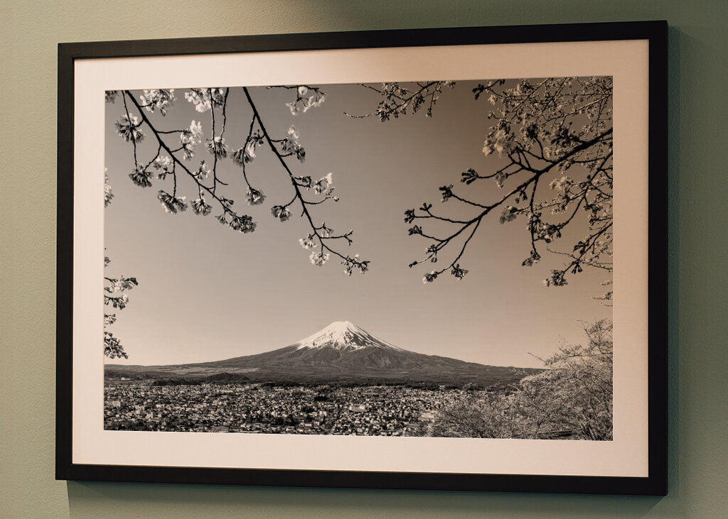 Le mont Fuji au printemps