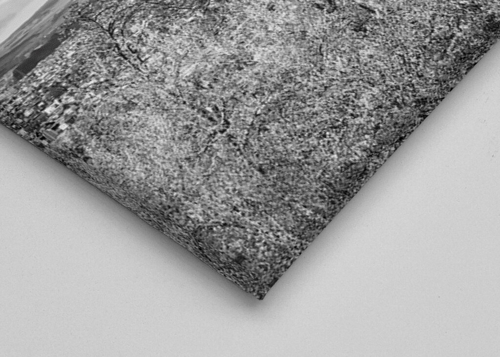 Mont Fuji avec pagode Chureito 